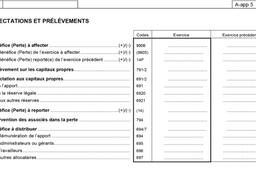 Pouvez-vous modifier la langue de votre déclaration IPP?