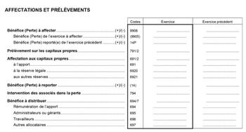 Pouvez-vous modifier la langue de votre déclaration IPP?